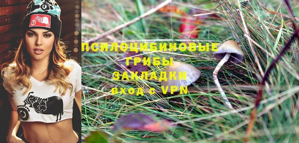 бутират Алзамай
